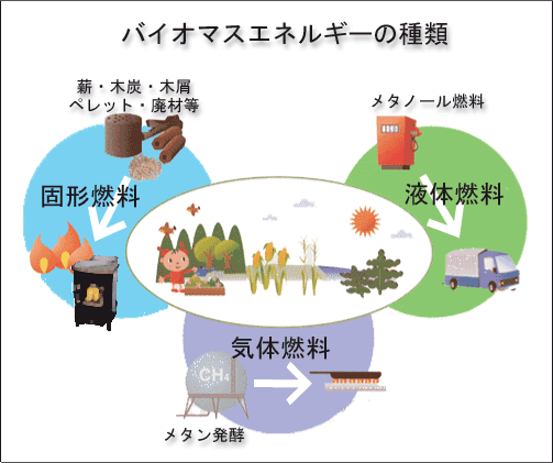 環境問題クイズ 簡単